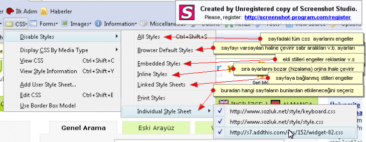 Measureıt, Webdeveloper Anlatım