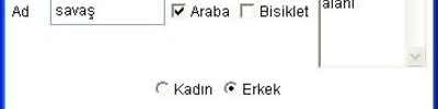 Java Applet Üzerine Form Nesnelerini Eklemek